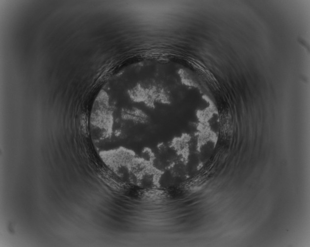 X0000097490669200803201532