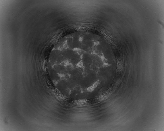 X0000097490671200803201532