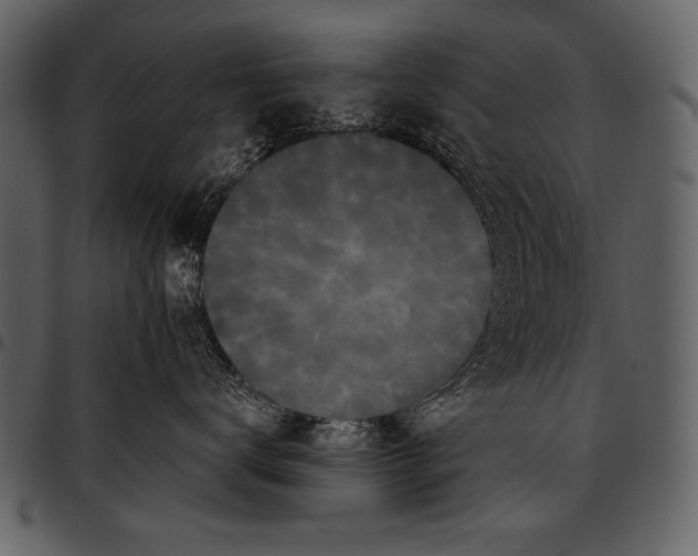 X0000097490672200803201532