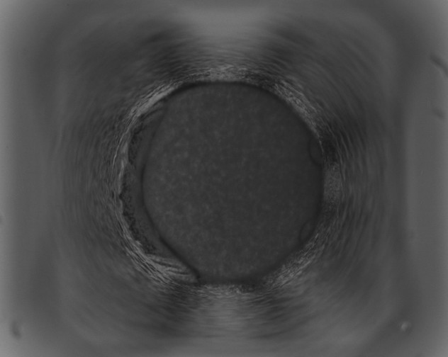 X0000097490673200803201531