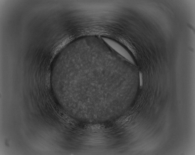 X0000097490675200803201531