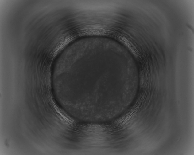 X0000097490677200803201531