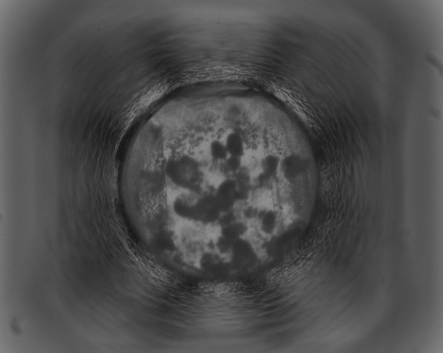 X0000097490679200803201531