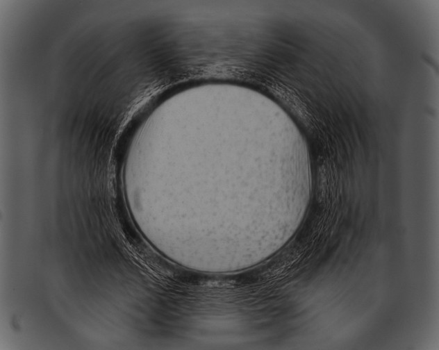 X0000097490680200803201531