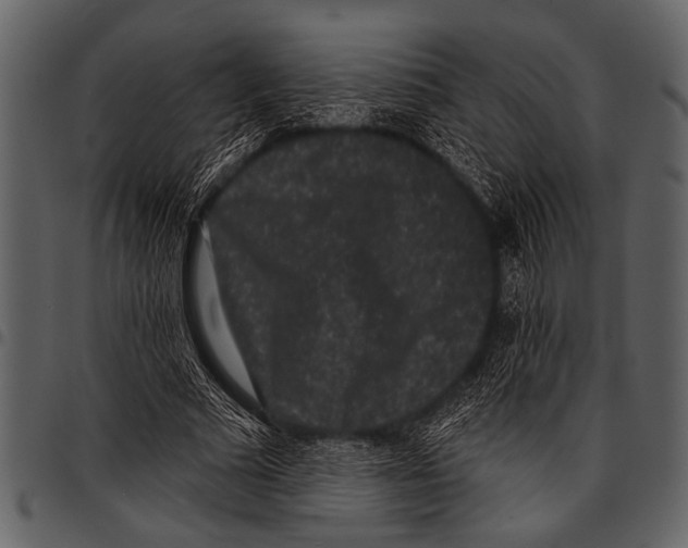 X0000097490681200803201531