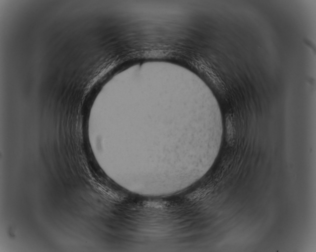 X0000097490684200803201531