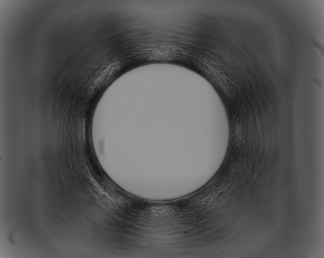 X0000097490686200803201531