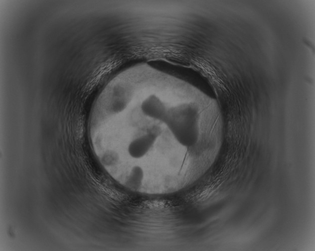 X0000097490687200803201531