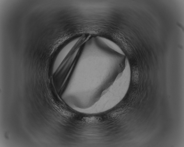 X0000097490688200803201531