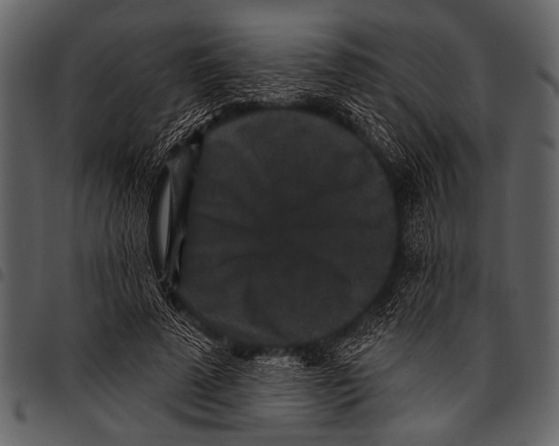 X0000097490689200803201531