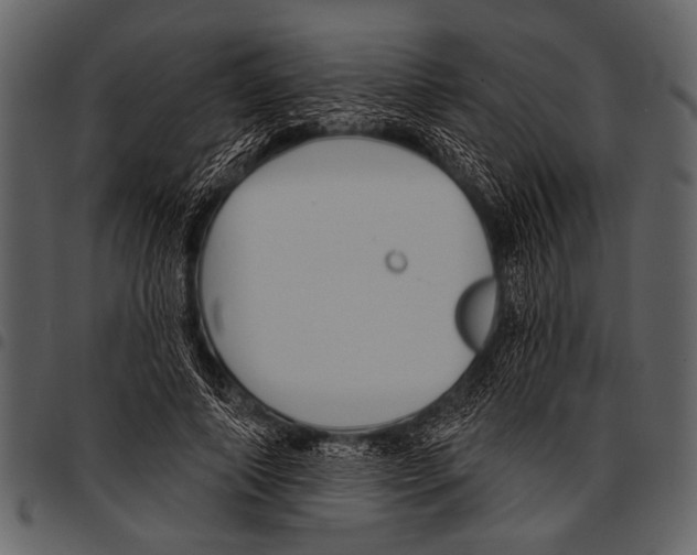 X0000097490690200803201531