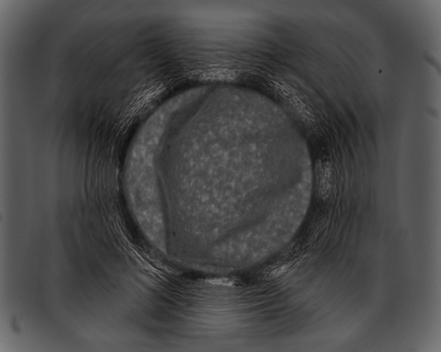 X0000097490692200803201531