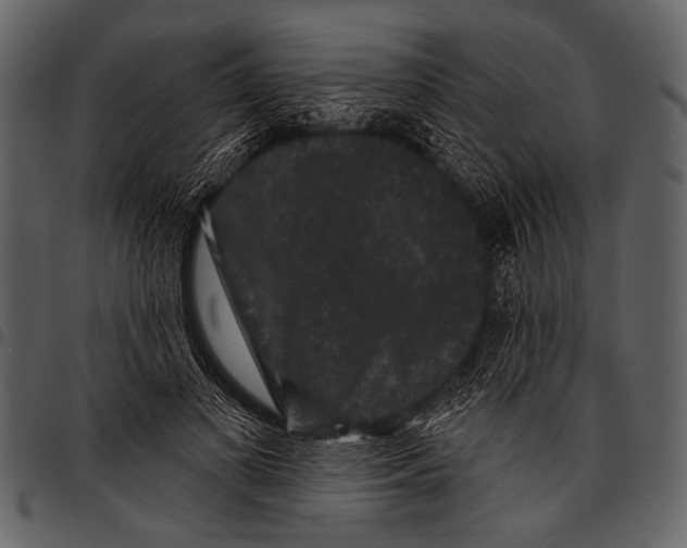 X0000097490693200803201531