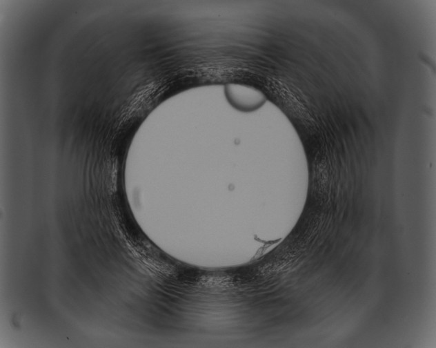 X0000097490694200803201531