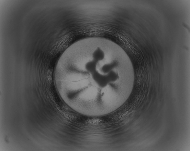 X0000097490695200803201531