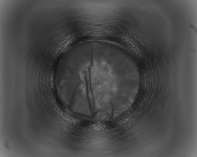 X0000097490696200803201531