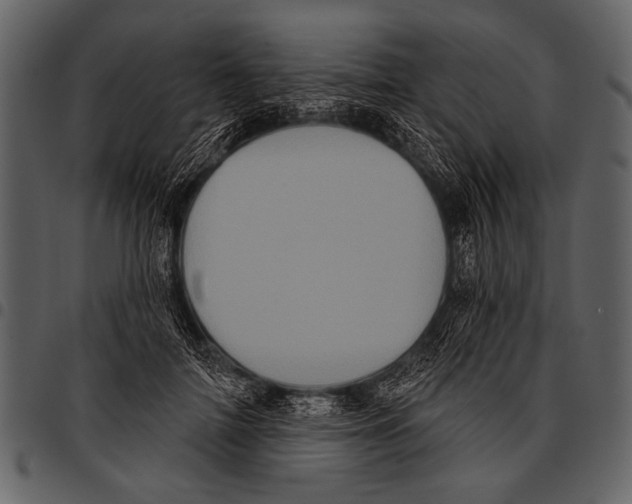 X0000097490698200803201531