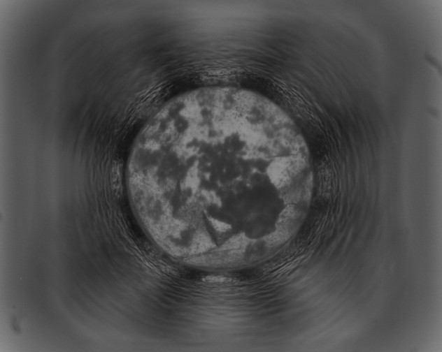 X0000097490699200803201531