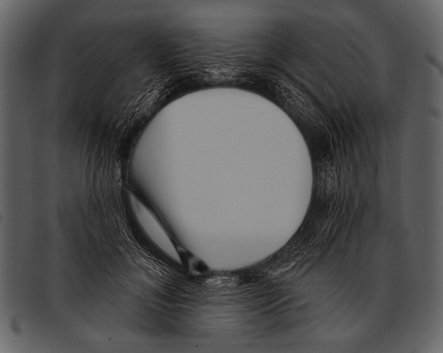 X0000097490700200803201531