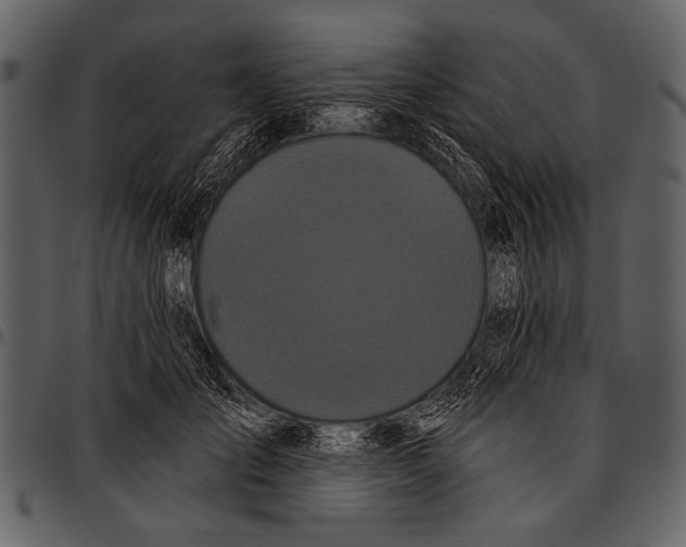 X0000097490701200803201531