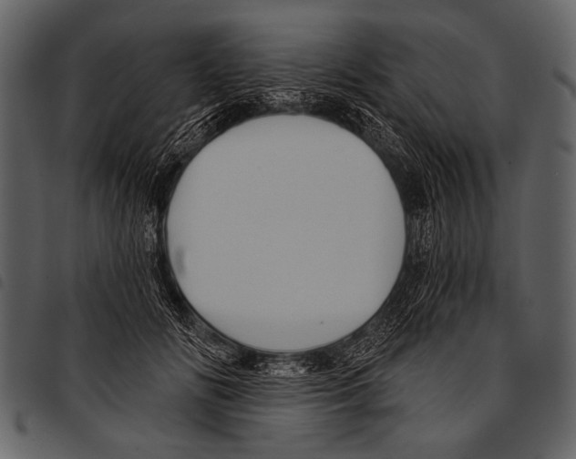 X0000097490702200803201531