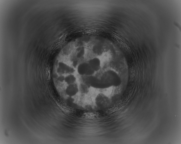 X0000097490703200803201531