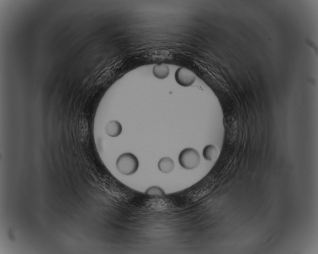 X0000097490704200803201531