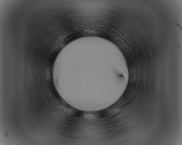 X0000097490706200803201531