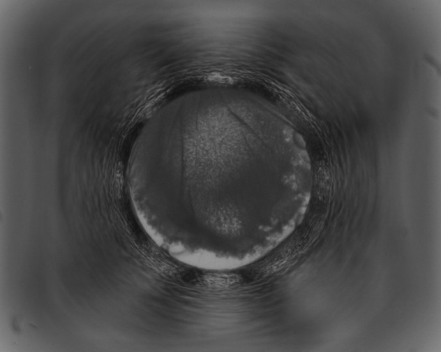 X0000097490707200803201531