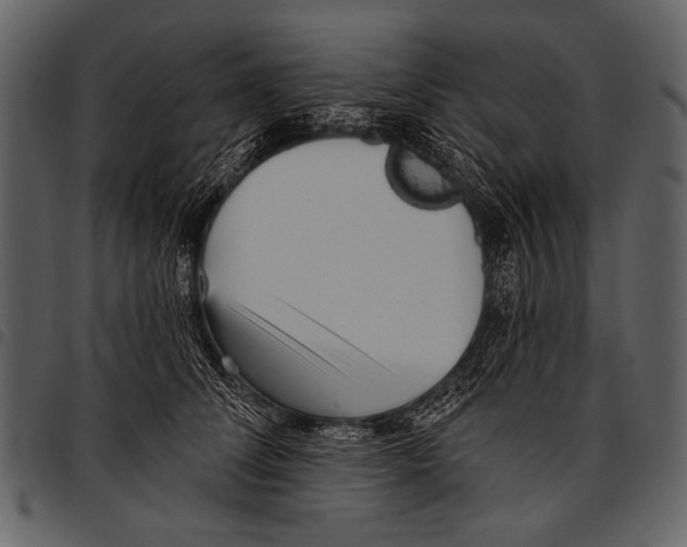 X0000097490708200803201531