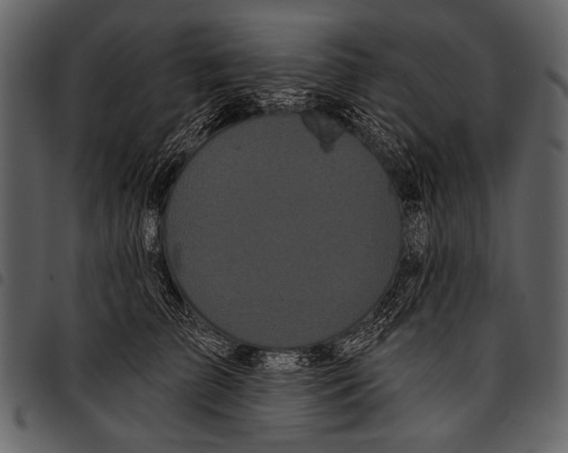 X0000097490709200803201531