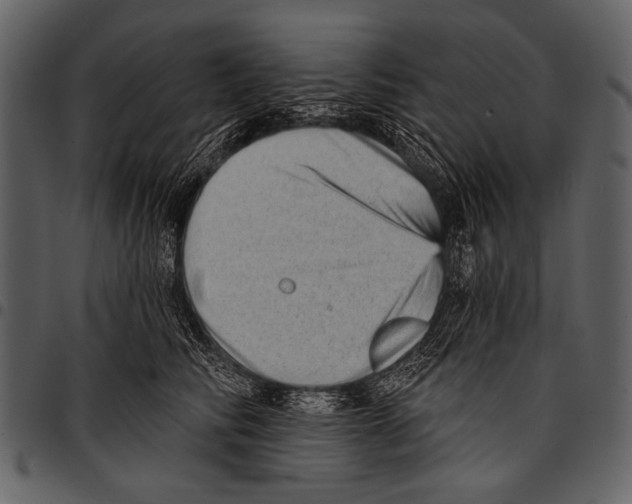 X0000097490710200803201531