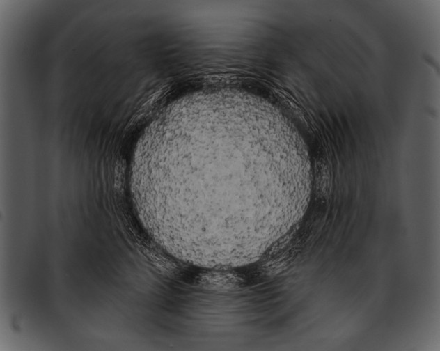 X0000097490712200803201531