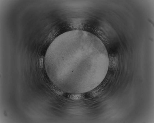 X0000097490717200803201531