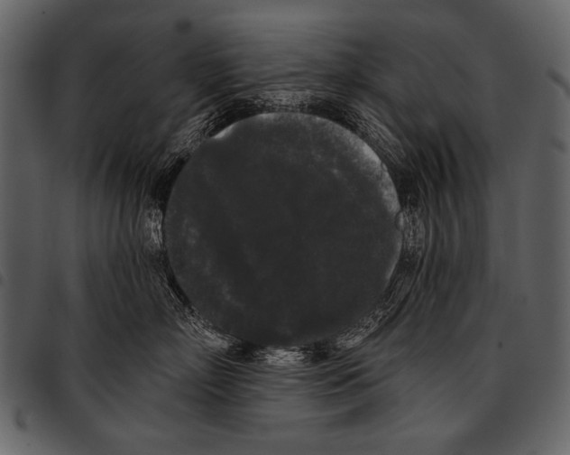 X0000097490718200803201531