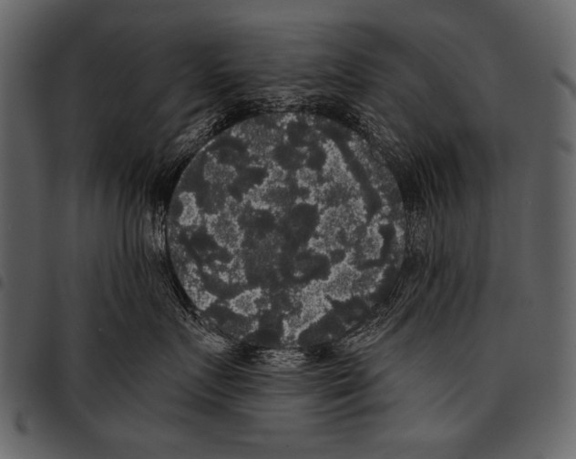 X0000097490719200803201531