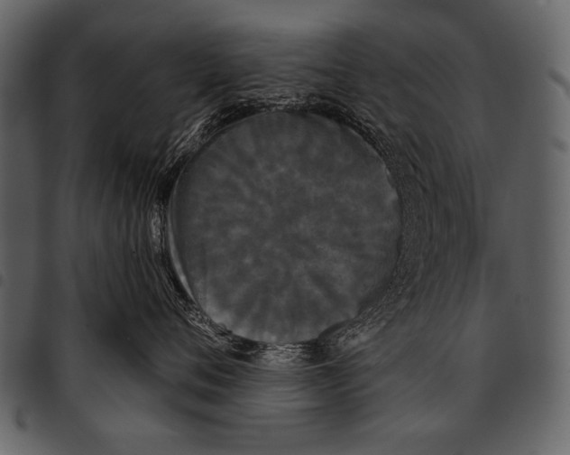 X0000097490720200803201531