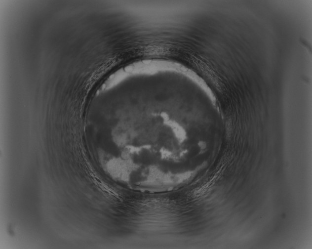 X0000097490721200803201530