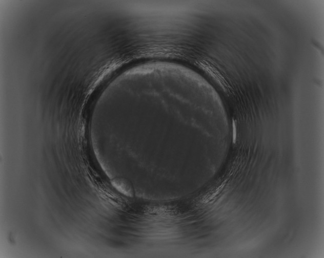 X0000097490723200803201530