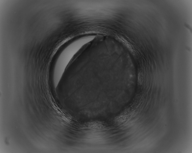 X0000097490724200803201530