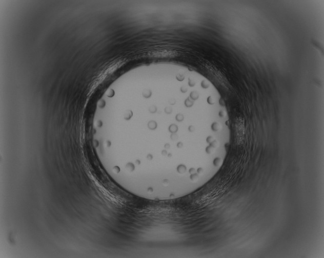 X0000097490726200803201530