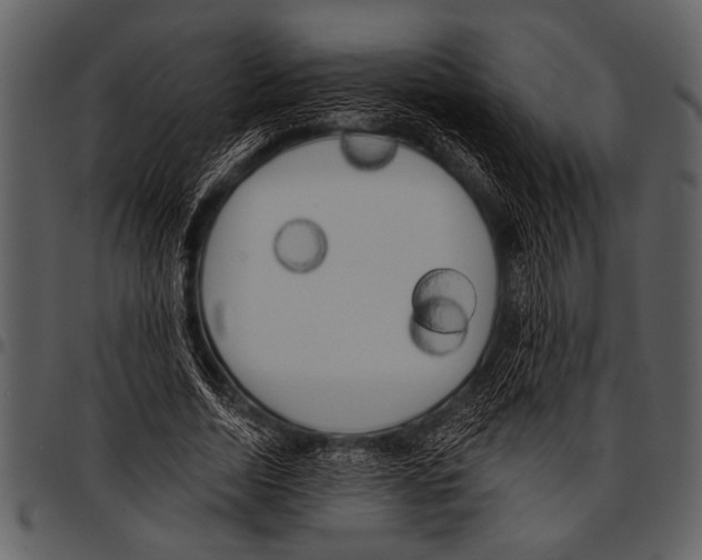 X0000097490730200803201530