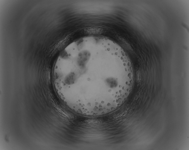 X0000097490733200803201530