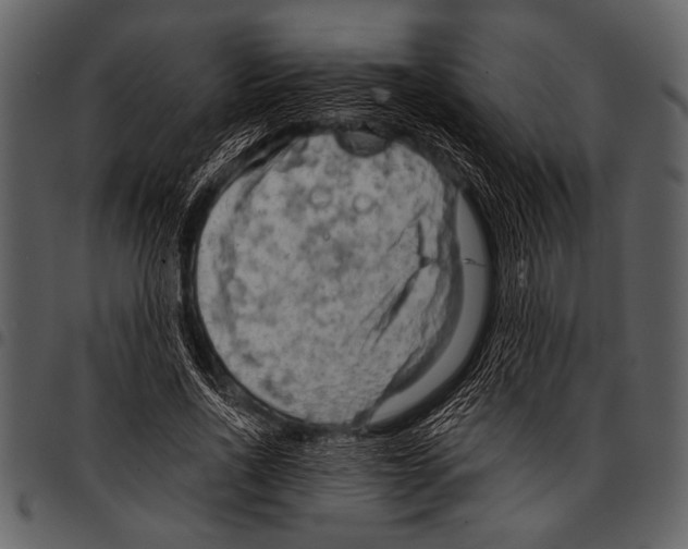 X0000097490734200803201530