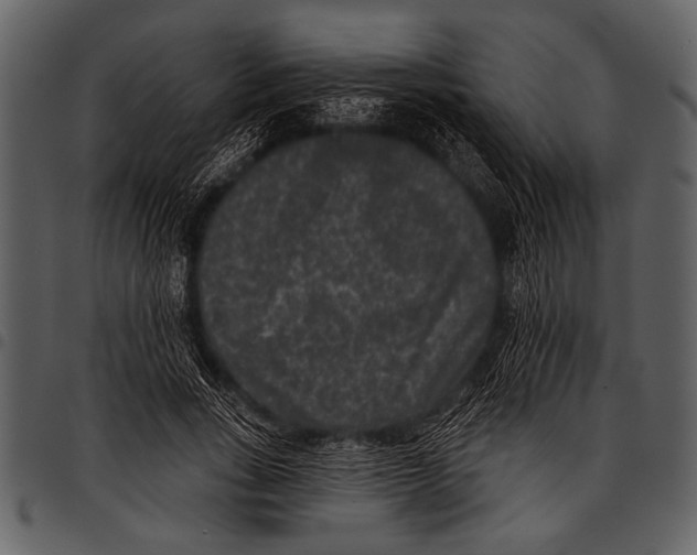 X0000097490735200803201530