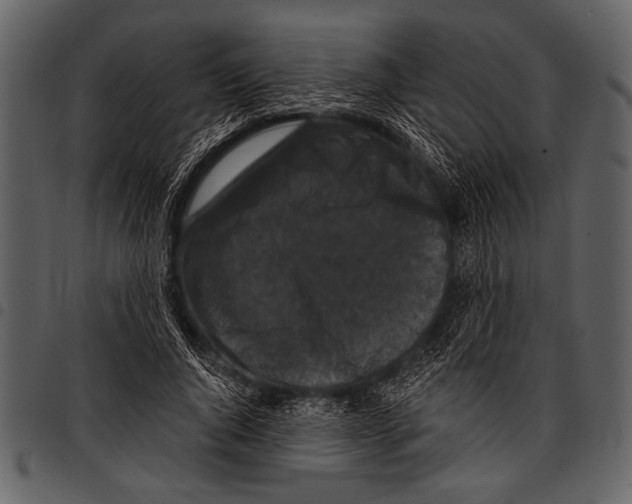 X0000097490736200803201530