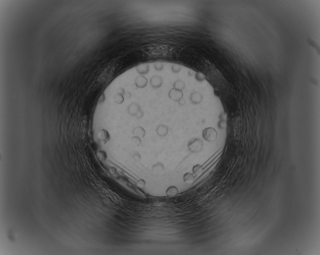 X0000097490737200803201530