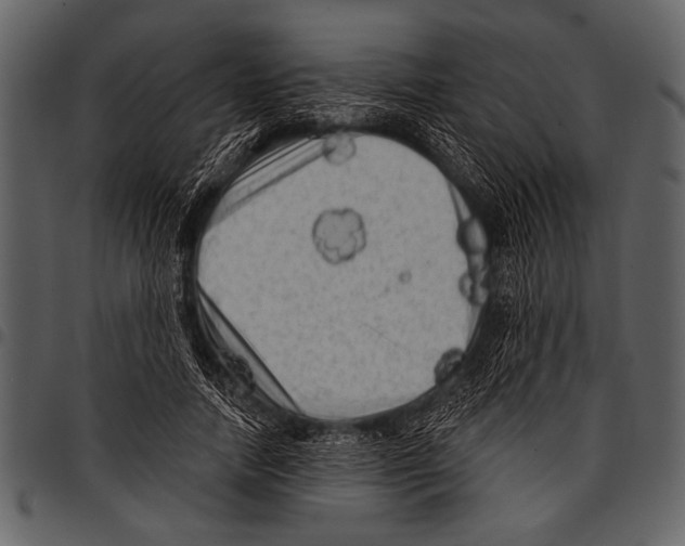 X0000097490738200803201530