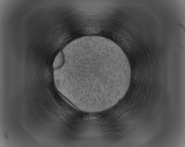 X0000097490743200803201530