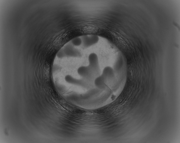 X0000097490745200803201530